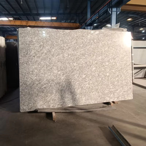 Dalles de granit blanc lune 2 cm polies |   Granite indien gris clair pour comptoirs et sols |   Qualité d'exportation - Product Image 2
