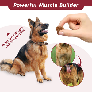 Pet Yuan OEM ODM - Golosinas Masticables Suaves <span class=keywords><strong>para</strong></span> Ganancia Muscular en Mascotas, <span class=keywords><strong>las</strong></span> Más Vendidas, Pellets <span class=keywords><strong>para</strong></span> Desarrollo Muscular en Mascotas, Fórmula Avanzada <span class=keywords><strong>para</strong></span> <span class=keywords><strong>Perros</strong></span> - Product Image 3