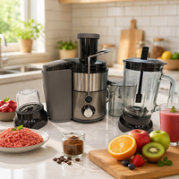 3-in-1 Voedselprocessor & Blender Mixer Grinder Draagbaar voor Thuis & Hotelgebruik 1000W Dubbele Oververhitting Bescherming Roestvrijstalen Mes