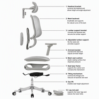 Chaise de bureau exécutive ergonomique à dossier haut entièrement en maille, pivotante, avec mécanisme de commande linéaire, conforme à la norme BIFMA