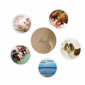 Lysinsulfat-Lieferant: Aminosäure-<span class=keywords><strong>L</strong></span>-Lysin sulfat in Futtermittel qualität 70% wird in Geflügel zusätzen verwendet - Product Image 2