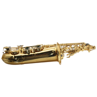 Hot Sale Professional Brass Lacquered Gold Alto Saxophone Eb Key Woodwind Instrument Saxophone with Accessories
