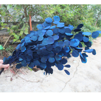 Feuilles d'eucalyptus séchés, 10 pièces, de haute qualité, plantes décoratives, naturelles