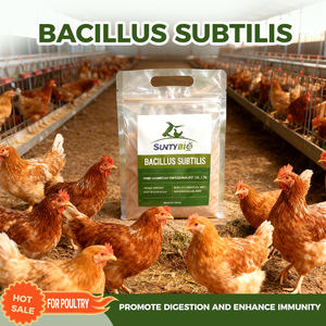 Additivo per Mangimi Suini Bacillus Subtilis Probiotici ad Alta Concentrazione di 10/200/300 Miliardi di CFU/g Additivo per Mangimi per Bestiame - Product Image 3