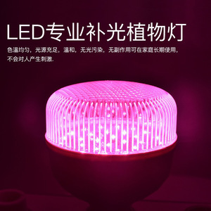 Ampoule LED pour la croissance des plantes 30W 40W Spectre complet 360 degrés pour le démarrage des semis et le jardinage intérieur - Product Image 5