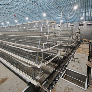 Gabbia per <span class=keywords><strong>Pulcini</strong></span> di Grande Capacità, Gabbia in Rete Metallica Resistente per <span class=keywords><strong>Pulcini</strong></span> e Pollame - Product Image 2
