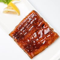 Unagi Kabayaki Gegrilde Palingfilet voor Sushi en Japanse Keuken, Diepvries Geroosterde Paling, Groothandel, Bulk Leverancier, BRC HALAL HACCP