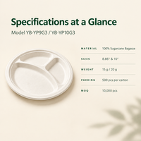 Plateau léger et polyvalent en bagasse de canne à sucre à 3 compartiments pour service de buffet