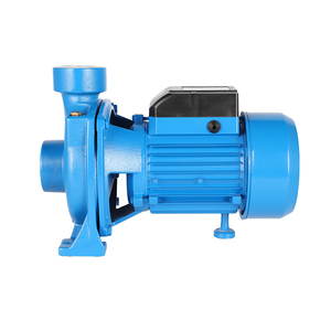 Bomba de Agua Centrífuga Eléctrica para Riego Agrícola de Baja Presión DTM-18 1HP OEM de Acero Inoxidable - Product Image 2