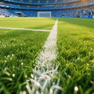 Erba Artificiale, Tappeto Erboso Sintetico per Campi da <span class=keywords><strong>Calcio</strong></span>, <span class=keywords><strong>Campo</strong></span> Sportivo Professionale - Product Image 1