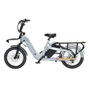 2 Battery Electric Cargo Bicycle Long Range Electrically Cargo bike 2 Wheels Ebike Ecargo OEM ODM fat tire electric cargo bike