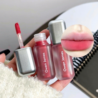 Rouge à lèvres mat waterproof en gros, tube argenté, gloss à lèvres velours brumeux, longue tenue, non-transfert, blanchissant, marque privée