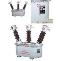 Réservoir de mesure immergé dans l'huile 35 kV JLS-33/35 200/5A classe 0.2S pour l'approvisionnement industriel extérieur