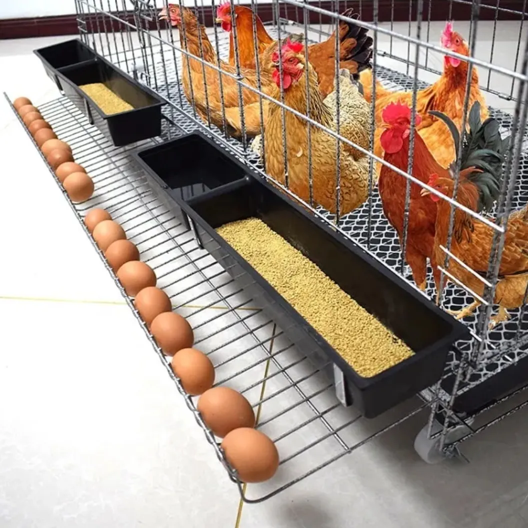 Großhandel mehrere Größen Automatische Rolling Egg Chicken Cage Haushalts zucht Folding Layer Cage Chicken Breedin