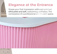Comptoir de réception rose cannelé avec base LED, mobilier de salon pour institut de beauté