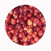 Groothandel export verkoop China fruit IQF diepvries zoete kersen in prijs