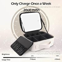 Sac de rangement pour maquillage avec miroir éclairé, luminosité réglable en 3 scénarios de couleur, étui de maquillage imperméable, cadeau pour femmes