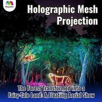 Projecteur interactif Mayeter OEM ODM, écran de projection en maille holographique 3D