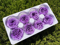 Rose stabilisée violette naturelle, fleur éternelle longue durée pour décoration DIY de la maison