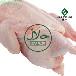 Poulet entier congelé de qualité supérieure, approuvé <span class=keywords><strong>Halal</strong></span> et sain, avec des vitamines, durée de conservation de 24 mois, boîte de 12 kg/carton - Product Image 3