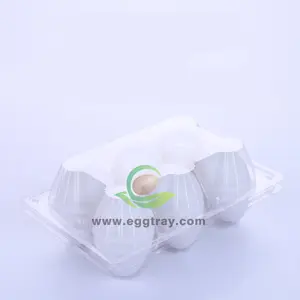 6 छेद हंस प्लास्टिक अंडे की ट्रे/बॉक्स/गत्ते का डिब्बा