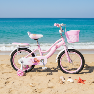 Vélo robuste pour enfants en acier à haute teneur en carbone, design élégant avec peinture laquée, <span class=keywords><strong>frein</strong></span> à disque avant et <span class=keywords><strong>frein</strong></span> à ruban arrière, vente en gros en stock - Product Image 6