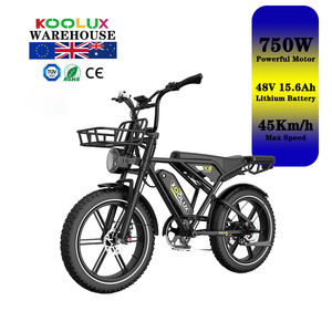 Bicicleta Eléctrica KOOLUX con Motor Trasero sin Escobillas de 250W para Adultos, Batería de Litio de 48V 15.6Ah, Alcance de 150KM, 45KM/H, Tracción en las Cuatro Ruedas, Neumático Grueso de 20 Pulgadas, 6 Velocidades - Product Image 4