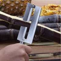 Hoge kwaliteit roestvrijstalen ananas schiller en snijder / mes / schilverwijderaar