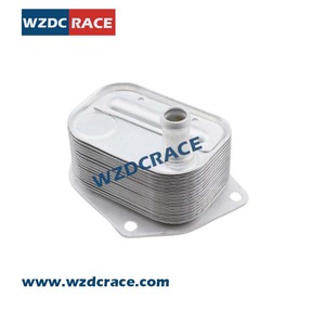 WZDC RACE <b>Radiator</b> Coolant Reservoir Tank 26410-2A150 OE 590056 For Replace Repair - Product Image 2
