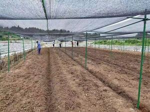 Tùy chỉnh Đường kính sợi thủy tinh ống tròn sợi thủy tinh cây thanh hỗ trợ cột - Product Image 6