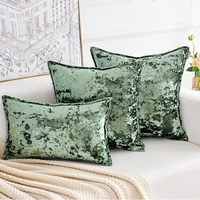 Housse de coussin carrée en velours écrasé de la série Premium avec fermeture éclair, housses de coussin épaisses de luxe pour la décoration de la maison