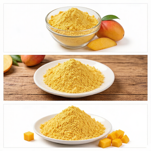Astrawell Polvo de Mango Natural Rico en Vitamina C, Polvo de Jugo de Mango - Product Image 4