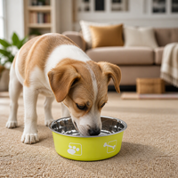 Gamelle double couche en acier inoxydable pour chien et chat, antidérapante, anti-chute, anti-renversement, motif empreinte de patte, pour l'alimentation transfrontalière