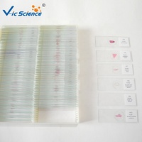 20pcs Human Oral Histology Slides Histology Slides Mouth Parts Microscope Oral Histology Slides