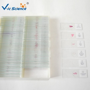 20 piezas de diapositivas de Histología oral humana diapositivas de Histología partes bucales microscopio diapositivas de Histología oral - Product Image 5