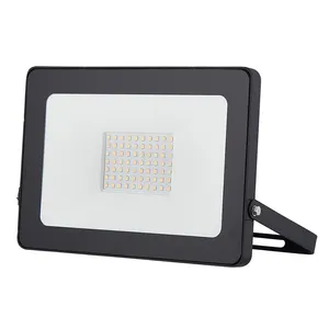 Outdoor RGB IP65 LED Flood Light 10W To 100W Aluminum Body For Outdoor Use