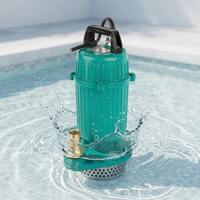 Pompe submersible verticale série SP, moteur DC sans balais, économie d'énergie, pompe automatique pour puits profonds