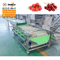 Lonkia Fruitgroente Sorteermachine Kers, Cherrytomaatjes Sorteermachine Dadelsorteermachine
