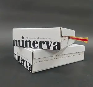 Печатная почтовая коробка, Самоуплотняющаяся клейкая лента на молнии, доставка гофрированного картона, безопасная доставка