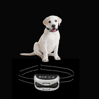 Bestseller Innovatives Wiederaufladbares Anti-Bell-Hundehalsband Wasserdicht Umweltfreundlich Schädlingsbekämpfung