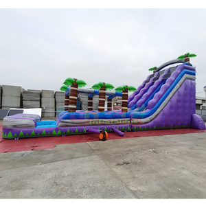Giant outdoor bounce <b>house</b> commercial tobogan acuatico hinchable tropical <b>inflatable</b> double water slide with splash pool - Product Image 2