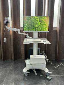 मेडिकल अस्पताल डिजिटल इलेक्ट्रॉनिक कोलोपोस्कोप एचडी कैमरा योनि वीडियो कोपोस्कोप स्विंग आर्म स्त्री - Product Image 5