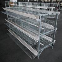 Cages à batterie pour poulets de type H, capacité 120, vente en gros