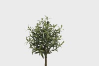 Style nordique Nouveau Offres Spéciales Nouveau Design Plantes Artificielles Décoratif Bonsaï Real Touch 100cm 5 Branches Olive Arbre Artificiel