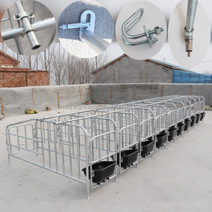 2024 chất lượng tuyệt vời <span class=keywords><strong>farrowing</strong></span> bút <span class=keywords><strong>farrowing</strong></span> thùng cho lợn <span class=keywords><strong>farrowing</strong></span> thùng cho lợn trang trại thiết bị - Product Image 2