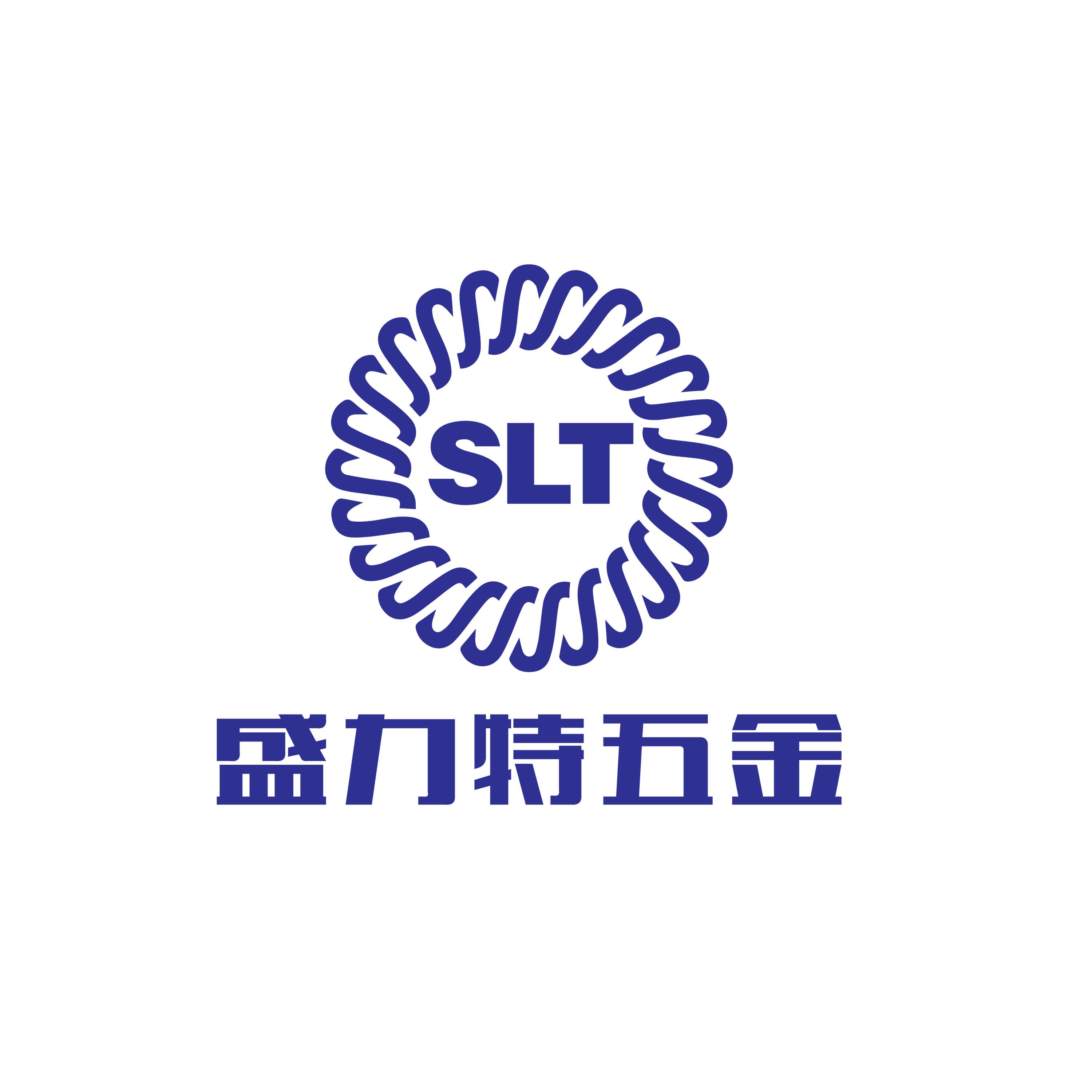 Dongguan Shenglite Hardware Products Co., Ltd. logo