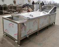 Transportbaan Geblancheerde Machines Groentebonen Voedsel Fruit Aardappel Blancheermachine