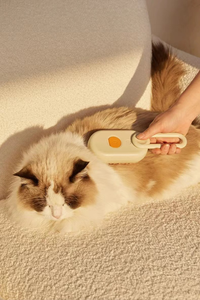 Semprotan listrik portabel lintas batas, penghilang bulu hewan piaraan sisir penenang kucing dan anjing - Product Image 5