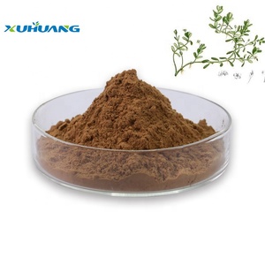 バコパ・モニエラエキス粉末（バコパサイド10％、20％、50％含有）の製造業者 - Product Image 2