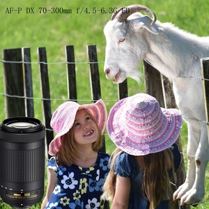 ขายส่งจากโรงงาน เลนส์กล้องมือสอง AF-P DX Nikkor 70-300mm F/4.5-6.3G ED SLR สำหรับกล้อง APS-C เลนส์ระยะกลางและระยะไกล - Product Image 2